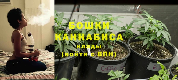 прущая мука Кулебаки