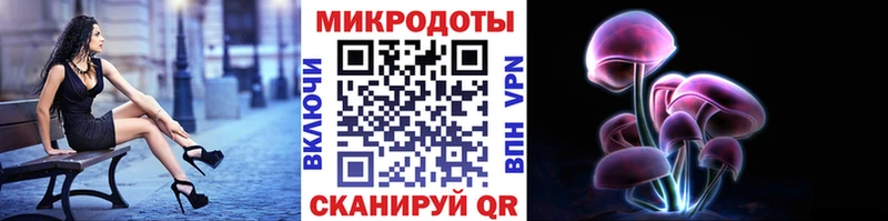 Псилоцибиновые грибы MAGIC MUSHROOMS  закладки  Малоярославец 