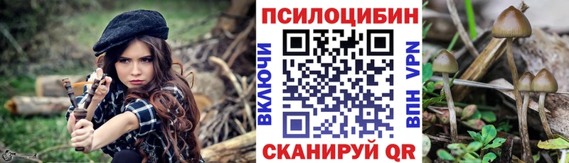 Галлюциногенные грибы GOLDEN TEACHER Малоярославец
